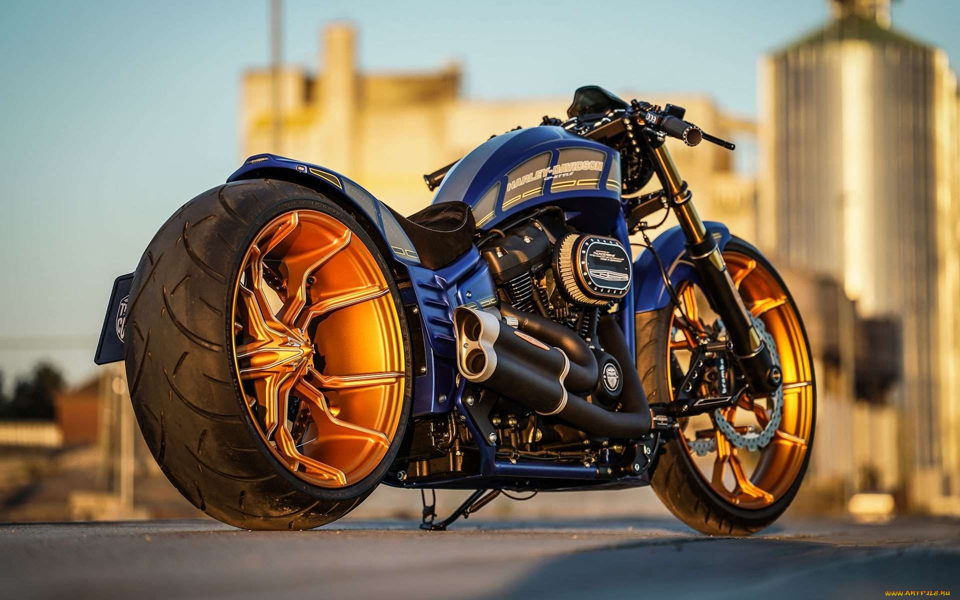 , , harley-davidson, , , thunderbike, customs